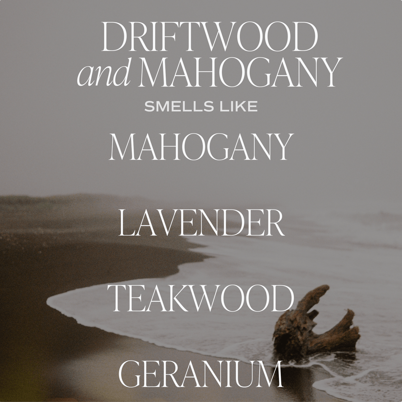 Driftwood and Mahogany Amber Reed Diffuser - Sweet Water Decor - Reed Diffusers