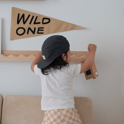 wild one pennant - Sweet Water Decor - Wall Hanging