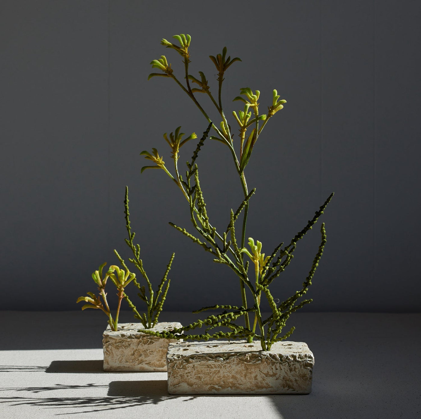 EcoFaux Spiny Amaranthus Stem - Sweet Water Decor - Artificial Plant