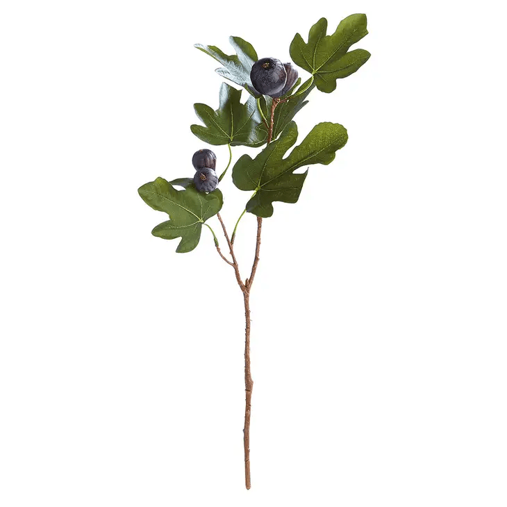 Fig Stem - Sweet Water Decor - Artificial Plant