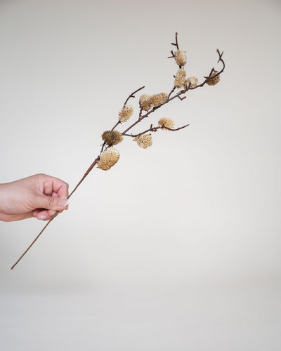 Botanical Sage - Sweet Water Decor - dried sage