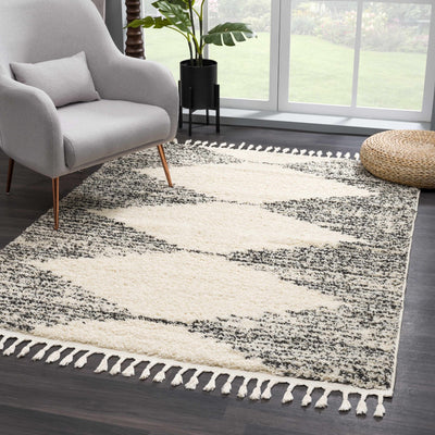 Howth Area Rug - Sweet Water Decor - Rugs