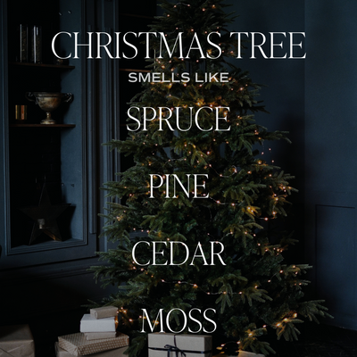 Christmas Tree Soy Candle - Amber Jar - 11 oz