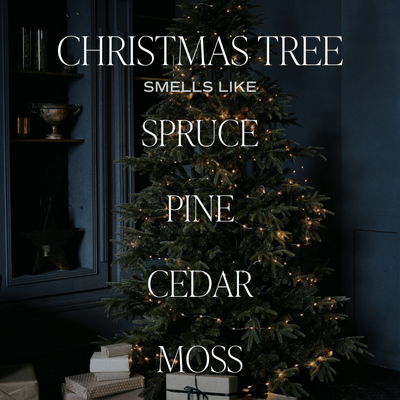Christmas Tree Amber Reed Diffuser - Sweet Water Decor - Reed Diffusers