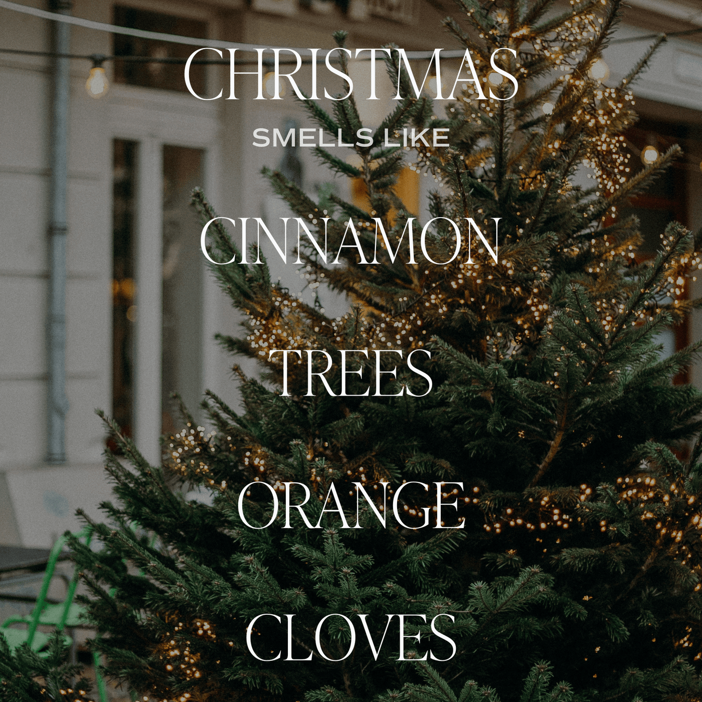 Christmas Amber Reed Diffuser - Sweet Water Decor - Reed Diffusers