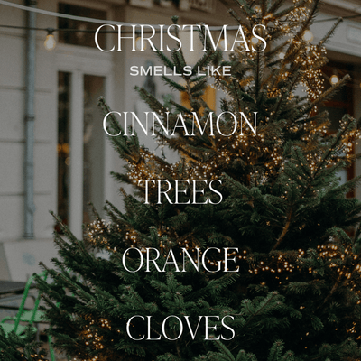 Christmas Amber Reed Diffuser - Sweet Water Decor - Reed Diffusers