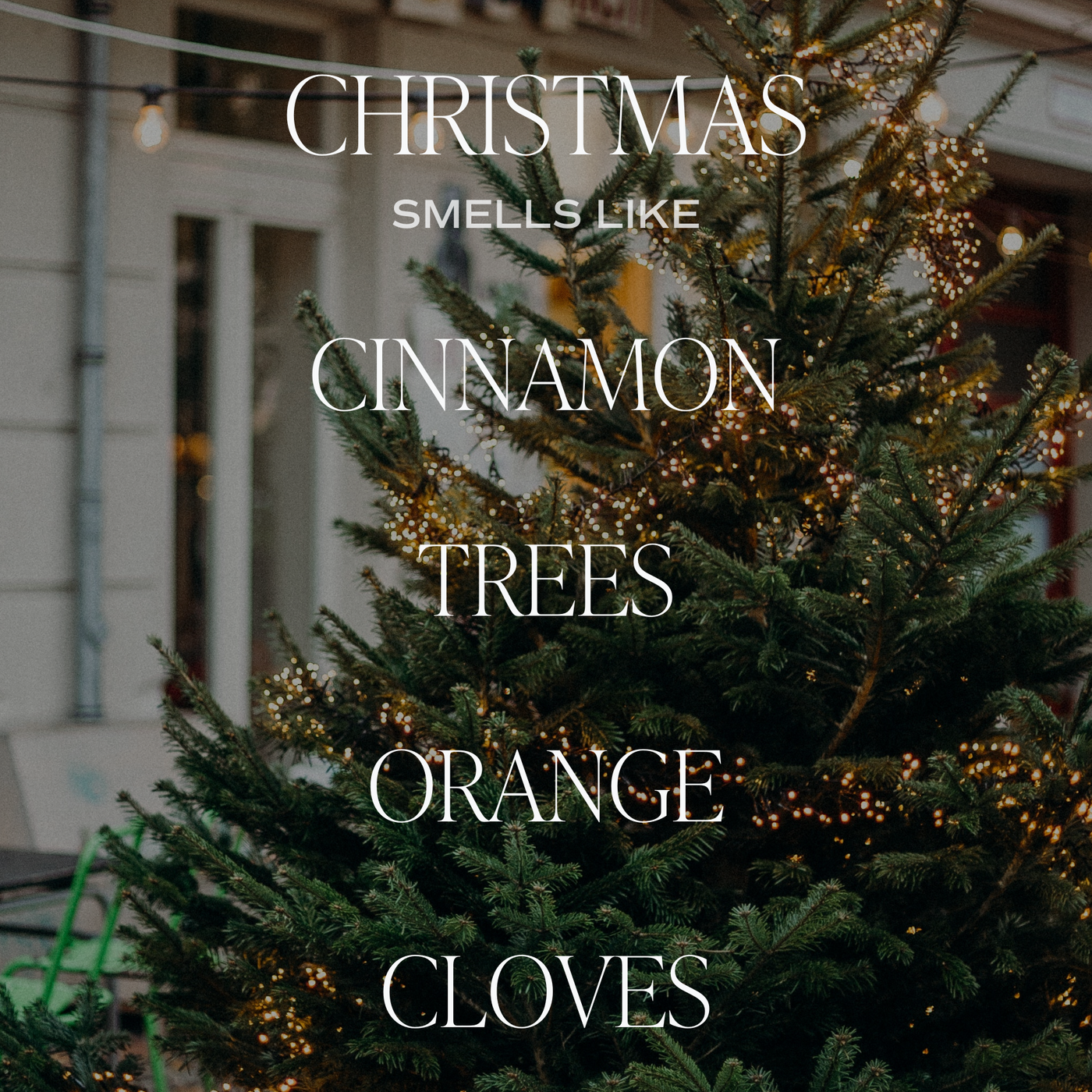 Christmas Soy Candle - Amber Jar - 11 oz