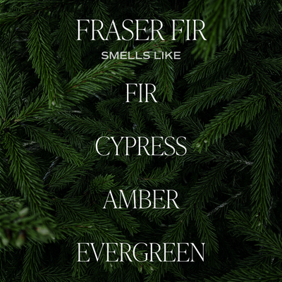 Fraser Fir Soy Candle - Amber Jar - 9 oz