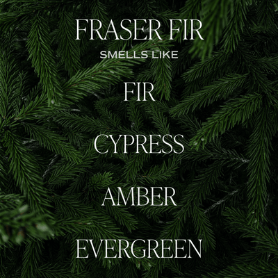 Fraser Fir Soy Candle - White Jar - 11 oz - Sweet Water Decor - Candles