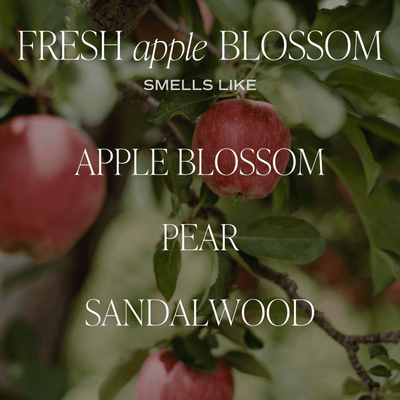 Fresh Apple Blossom Soy Candle - Clear Jar - 9 oz - Sweet Water Decor - Candles