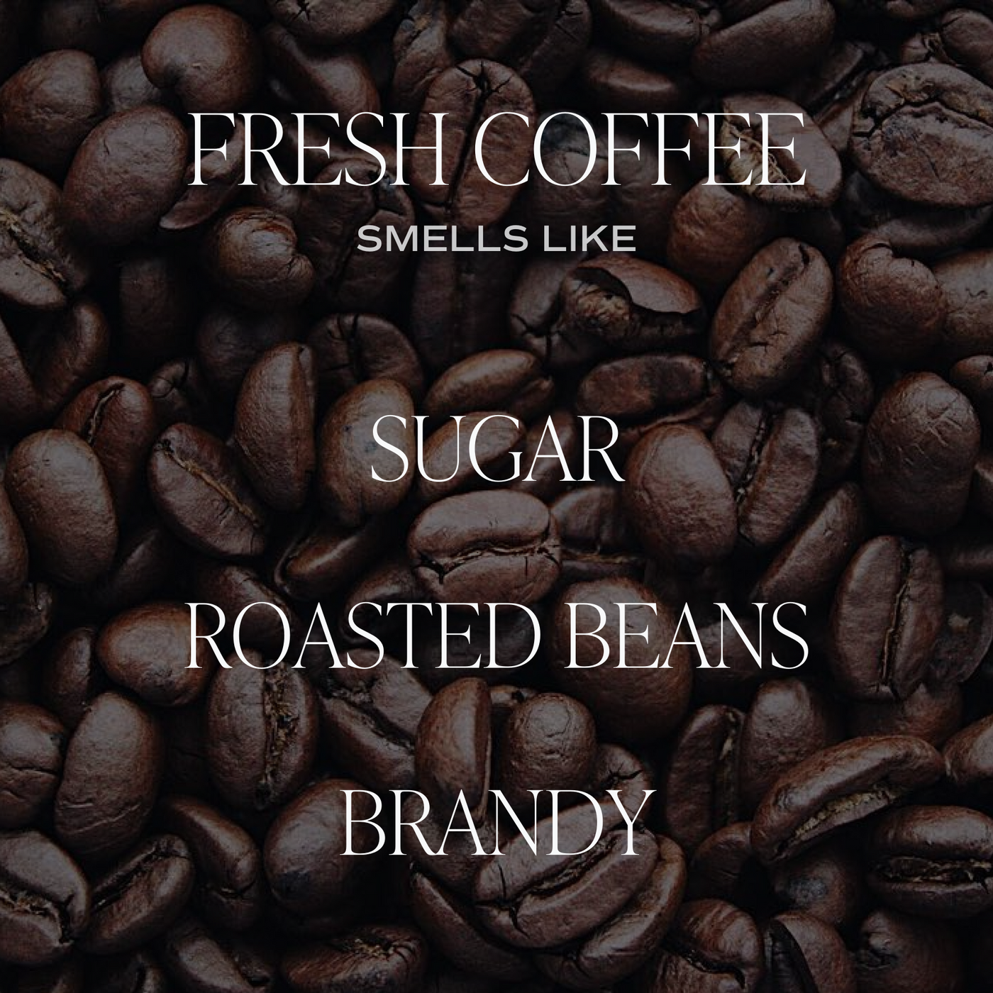 Fresh Coffee Soy Candle - Cream Stoneware Jar - 12 oz