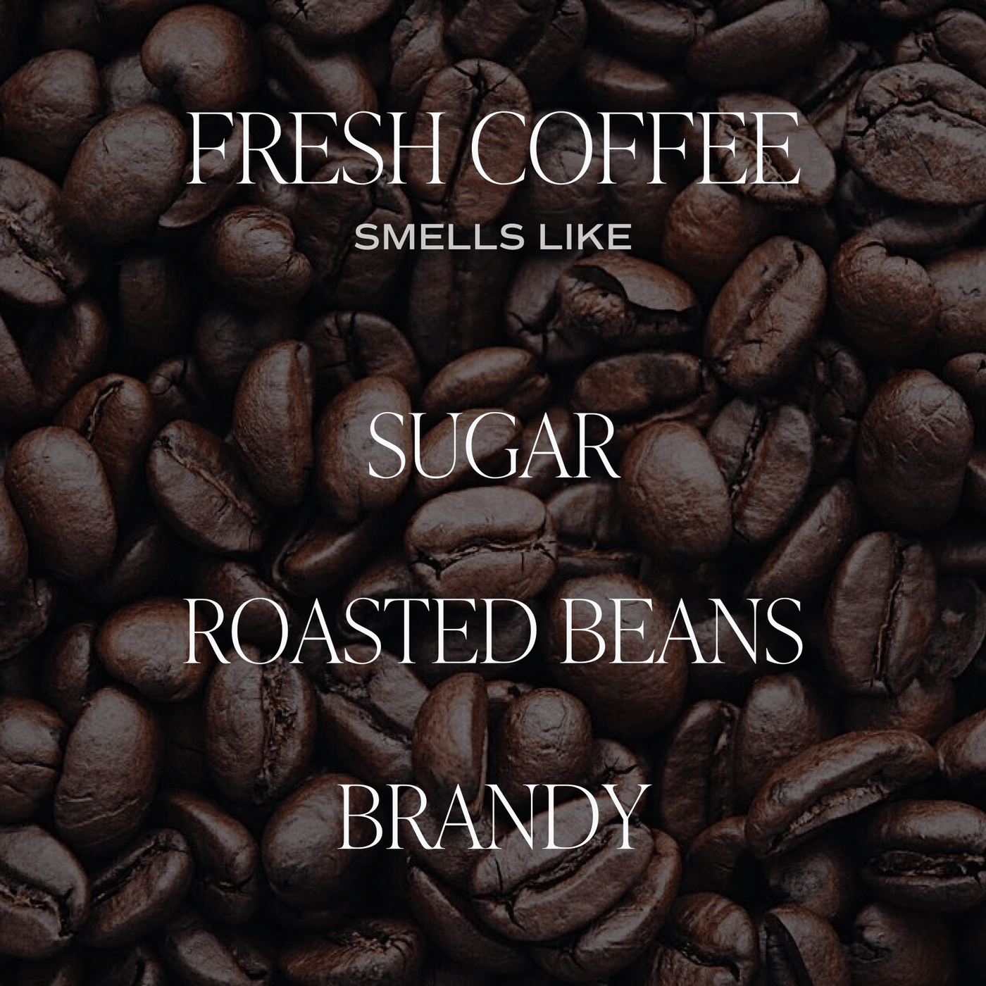 Imperfect Fresh Coffee Soy Candle - Clear Jar - 9 oz - Sweet Water Decor - Candles