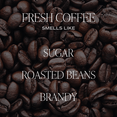 Imperfect Fresh Coffee Soy Candle - Clear Jar - 9 oz - Sweet Water Decor - Candles