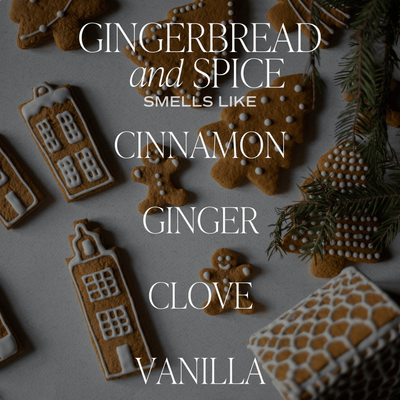 Gingerbread and Spice Soy Candle - White Jar - 11 oz - Sweet Water Decor - Candles