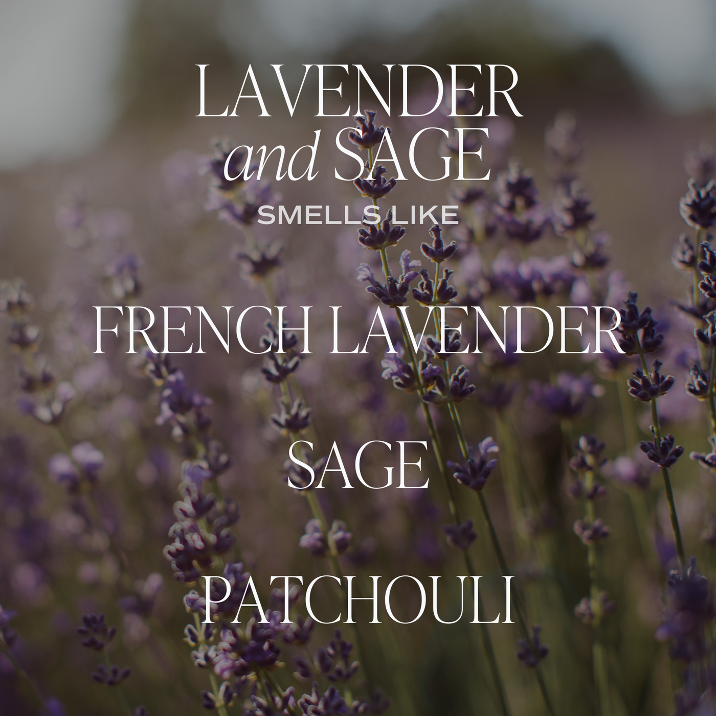 Lavender and Sage Soy Candle - Clear Jar - 9 oz