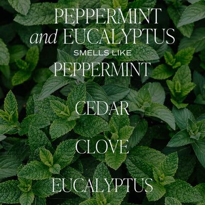 Peppermint and Eucalyptus Soy Candle - Clear Jar - 9 oz