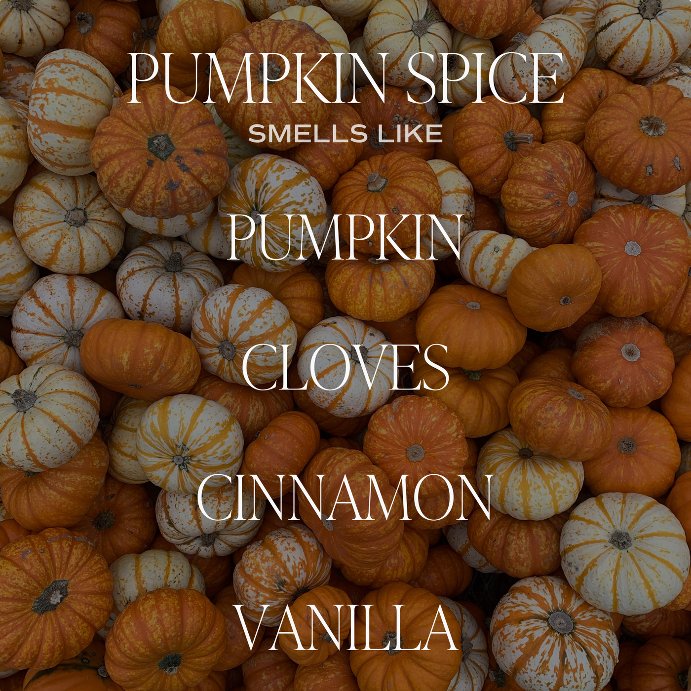 Pumpkin Spice Soy Candle - Orange Matte Jar - 15 oz