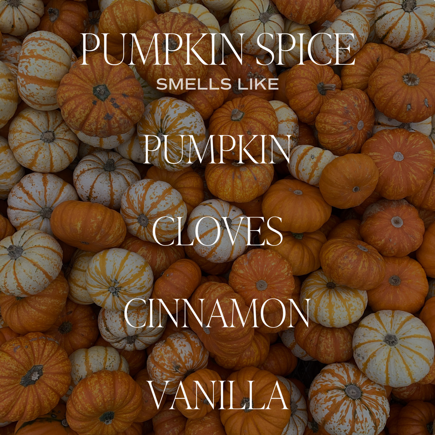 Pumpkin Spice Soy Candle - Cream Stoneware Jar - 12 oz