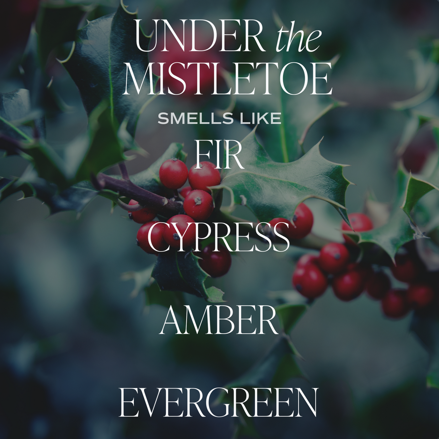 Under the Mistletoe Soy Candle - Green Matte Jar - 15 oz