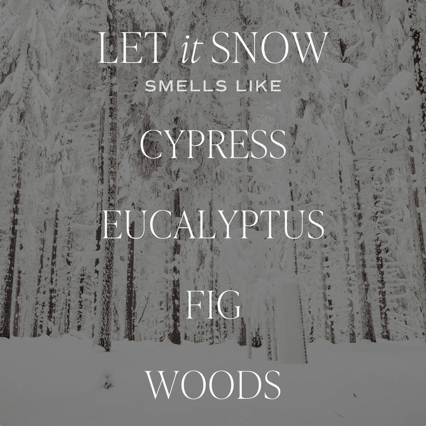 Let It Snow Soy Candle - Clear 9 oz Jar - Sweet Water Decor - Candles