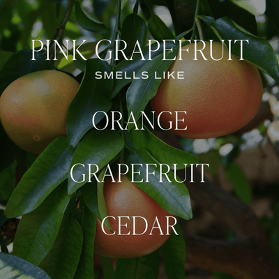 Pink Grapefruit Clear Reed Diffuser - Sweet Water Decor - Reed Diffusers