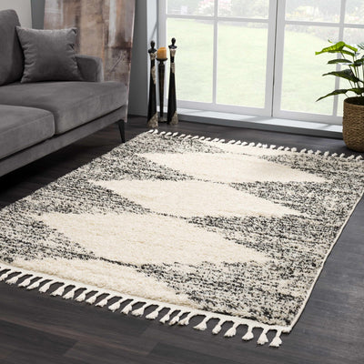 Howth Area Rug - Sweet Water Decor - Rugs