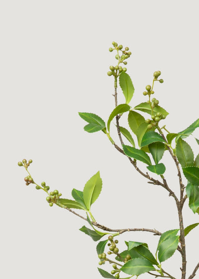 Green Chokeberry Artificial Berries Branch - 39" - Sweet Water Decor - Faux Plant