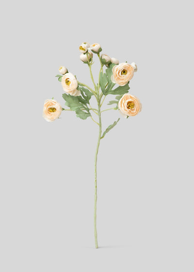 Artificial Blooming Ranunculus Flowers in Blush - 21" - Sweet Water Decor - faux flower