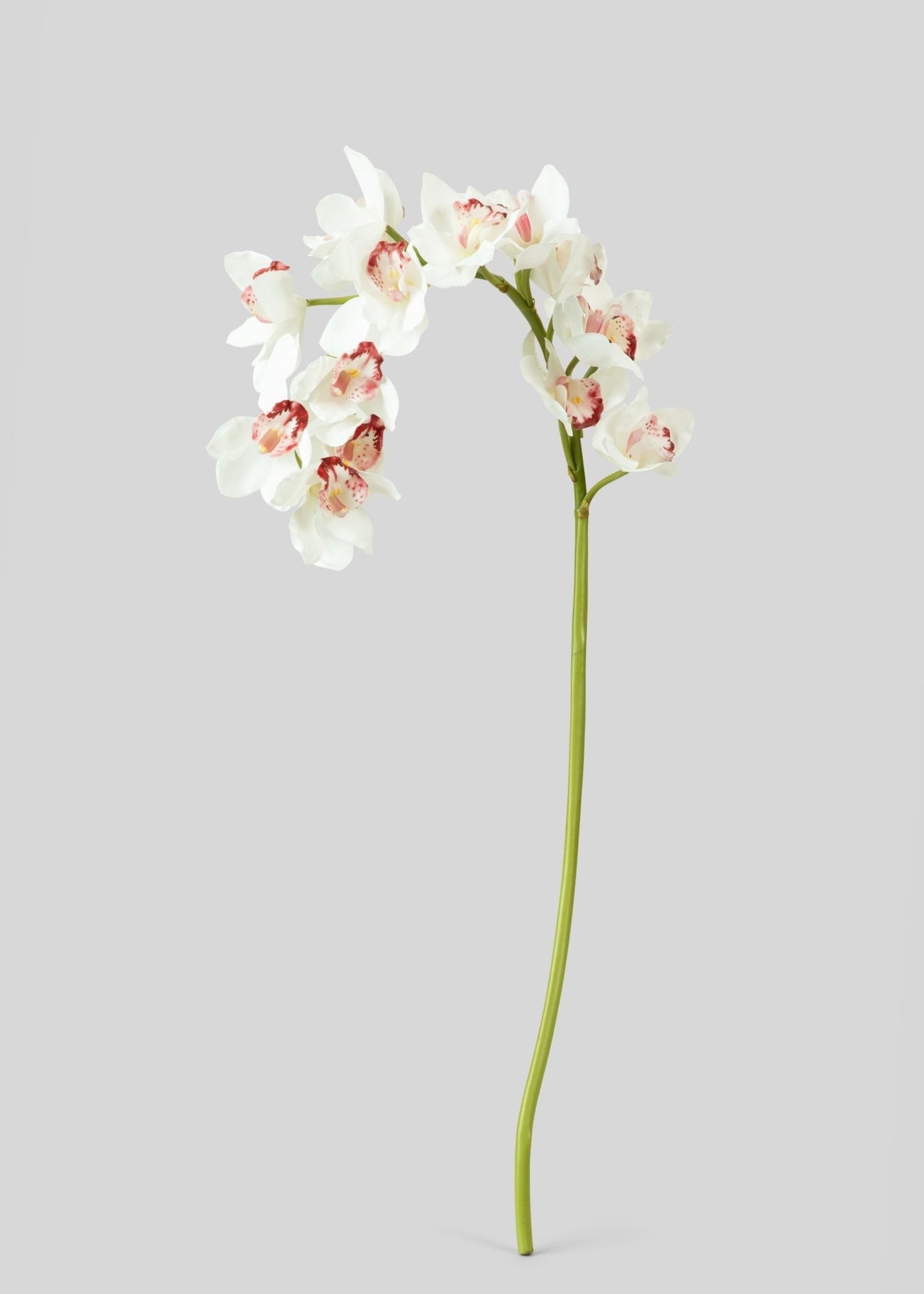 Large Natural Touch Cymbidium Orchid in White - 45" - Sweet Water Decor - faux flower