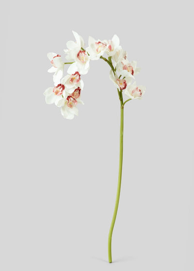 Large Natural Touch Cymbidium Orchid in White - 45" - Sweet Water Decor - faux flower