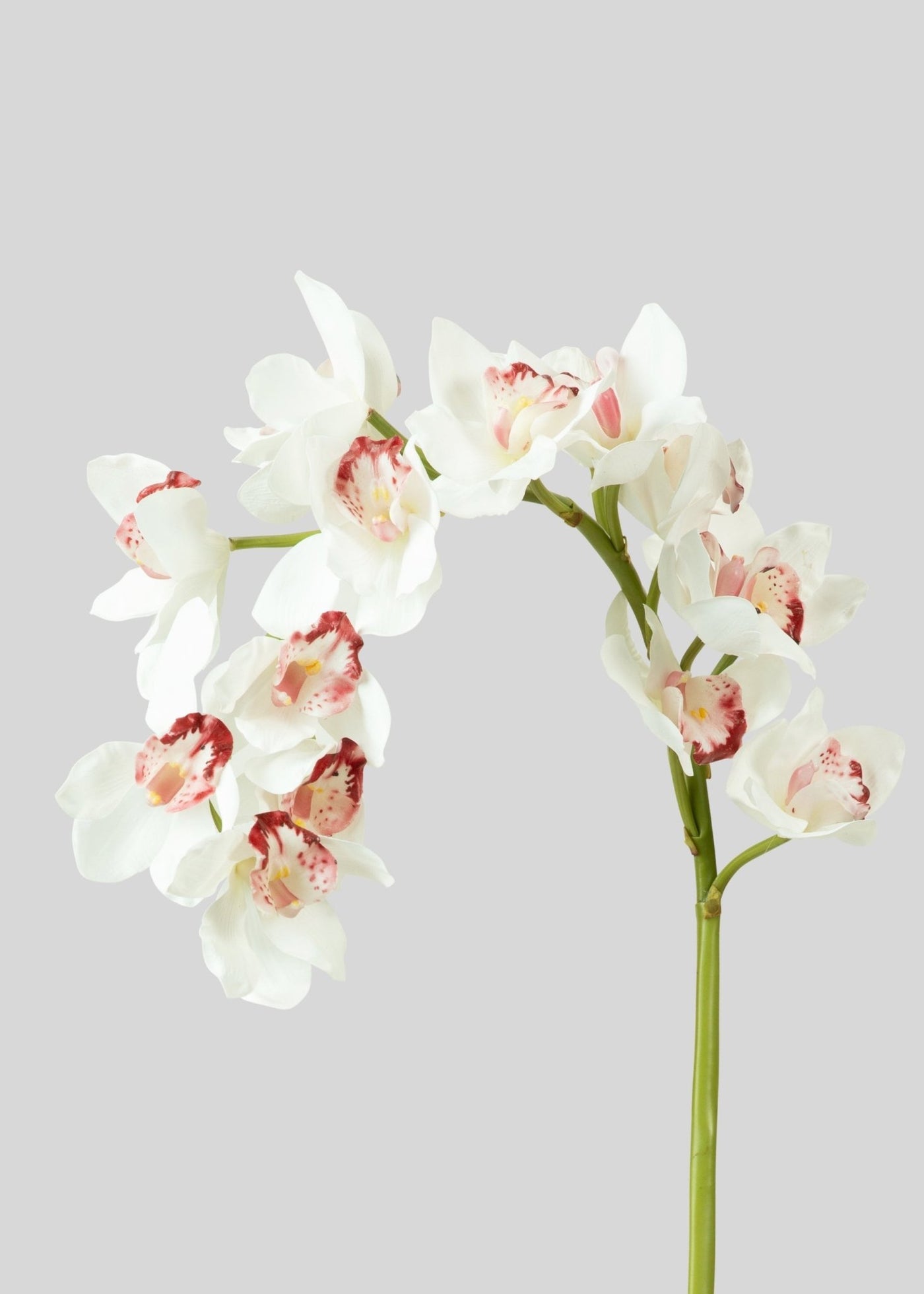 Large Natural Touch Cymbidium Orchid in White - 45" - Sweet Water Decor - faux flower