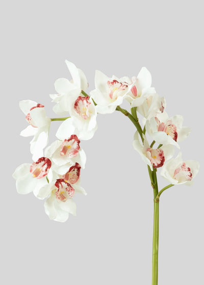 Large Natural Touch Cymbidium Orchid in White - 45" - Sweet Water Decor - faux flower