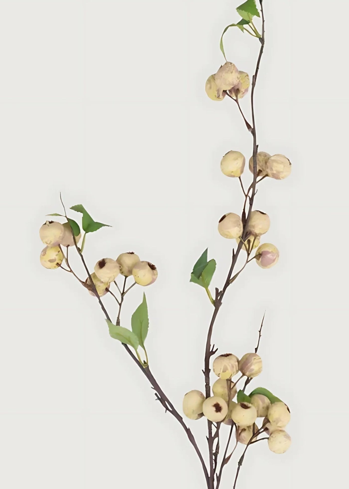 Abigail Ahern Artificial Hawthorn Berry Branch in Cream - 35.25" - Sweet Water Decor - Faux Plant