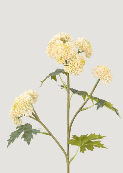 Natural Touch Fake Sedum Succulent Branch in Cream - 28" - Sweet Water Decor - faux flower
