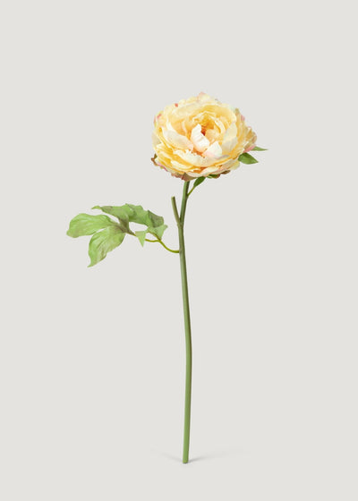 Real Touch Peony in Pale Yellow - 20" - Sweet Water Decor - faux flower