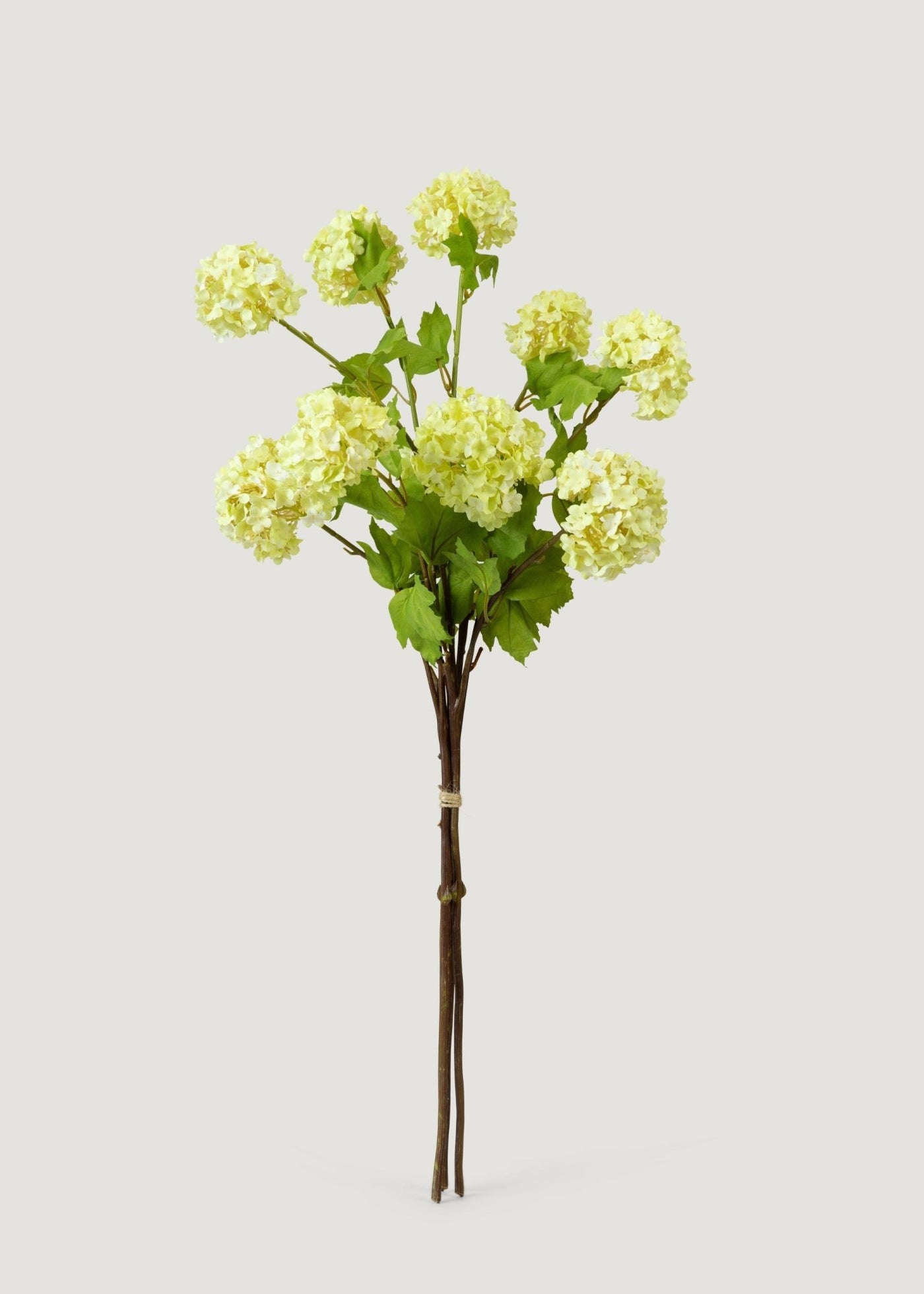 Honeydew Green Snowball Fake Flower Bundle - 31" - Sweet Water Decor - faux flower