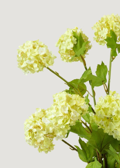 Honeydew Green Snowball Fake Flower Bundle - 31" - Sweet Water Decor - faux flower
