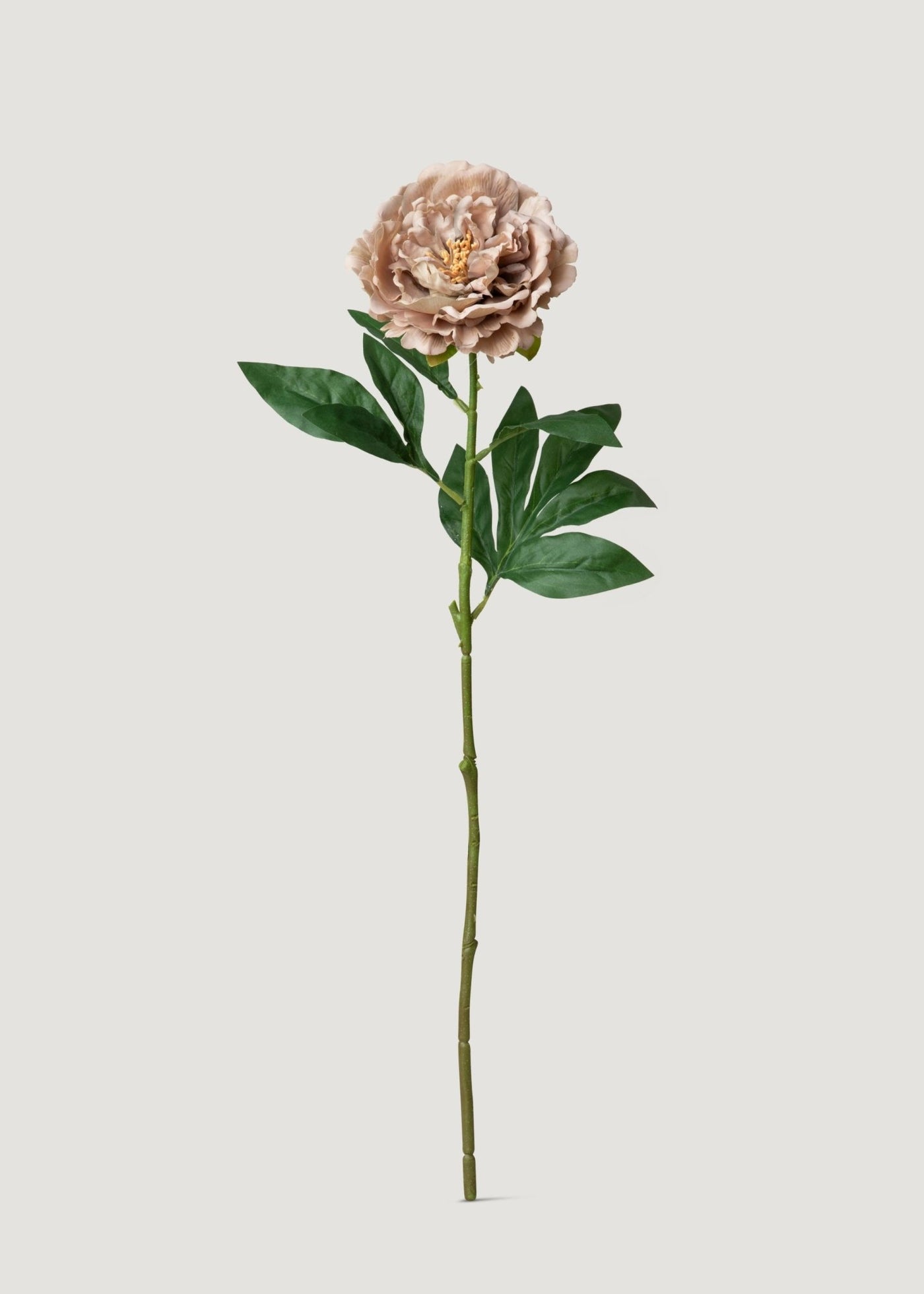 Mauve Taupe Real Touch Peony Fake Flower - 24.5" - Sweet Water Decor - faux flower