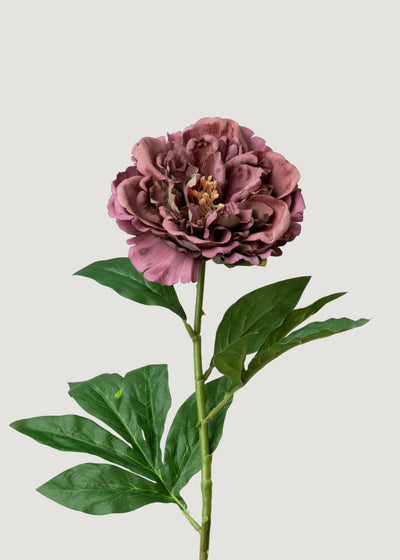Artificial Mauve Brown Real Touch Peony Flower - 24.5" - Sweet Water Decor - faux flower