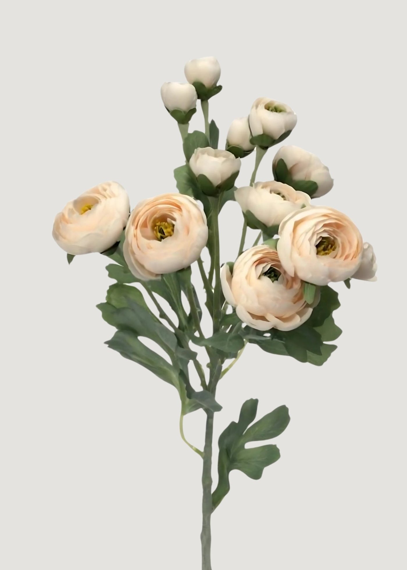 Artificial Blooming Ranunculus Flowers in Blush - 21" - Sweet Water Decor - faux flower