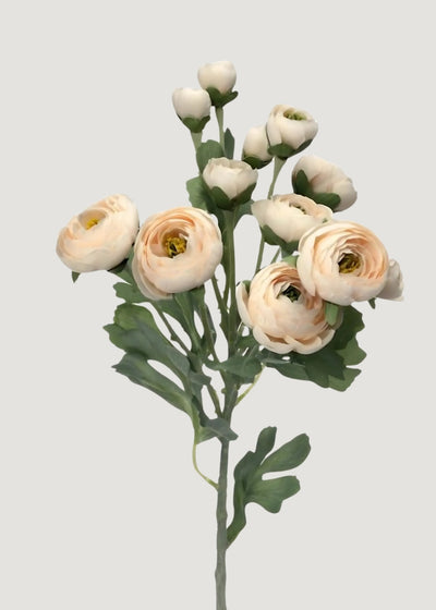 Artificial Blooming Ranunculus Flowers in Blush - 21" - Sweet Water Decor - faux flower