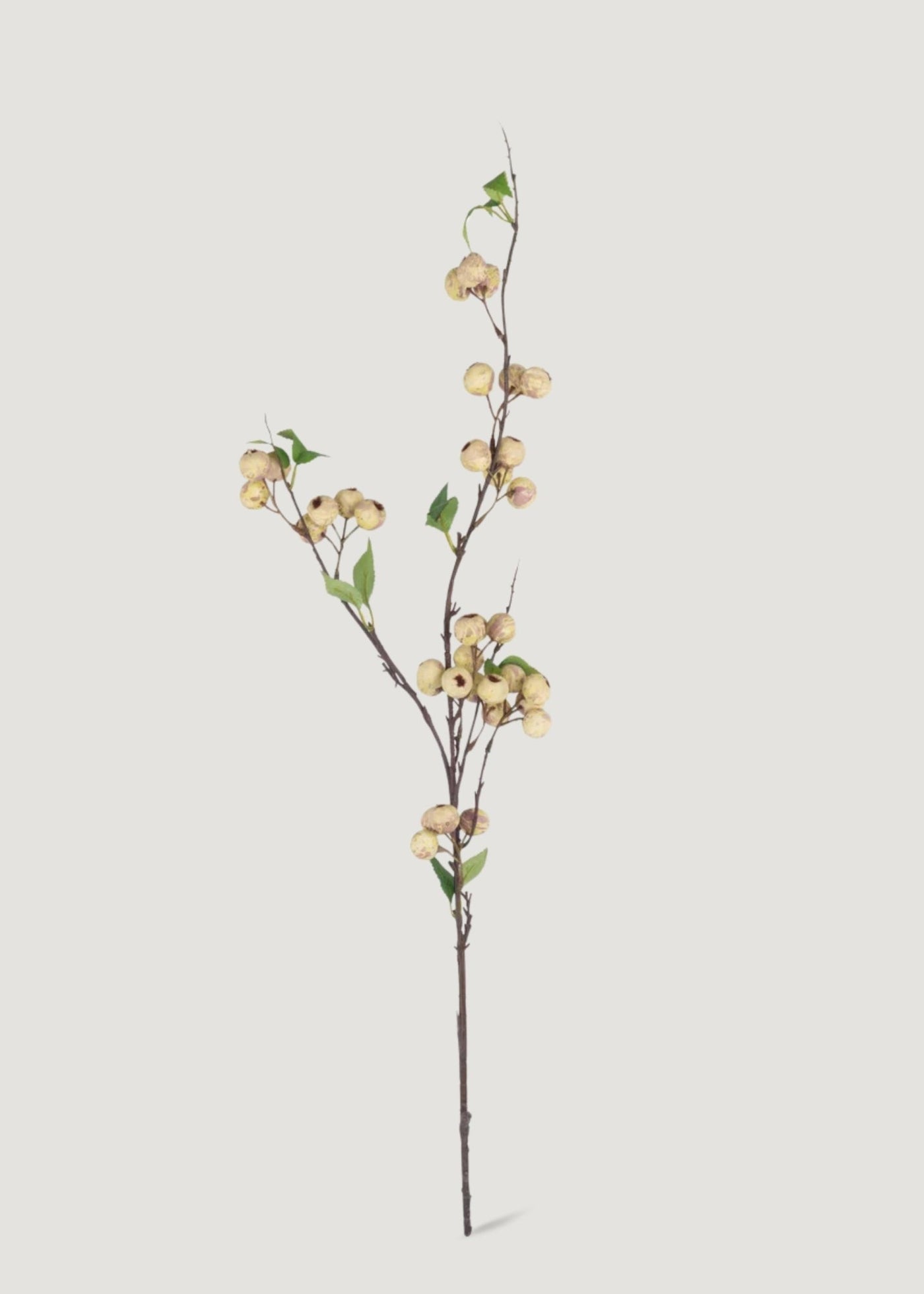 Abigail Ahern Artificial Hawthorn Berry Branch in Cream - 35.25" - Sweet Water Decor - Faux Plant