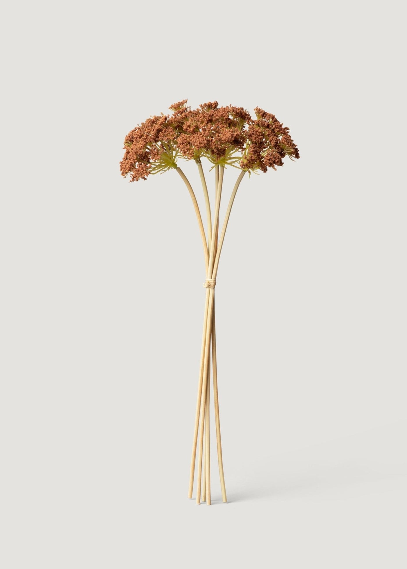 Bronze Brown Fake Yarrow Bundle of 5 - 18.75" - Sweet Water Decor - faux flower