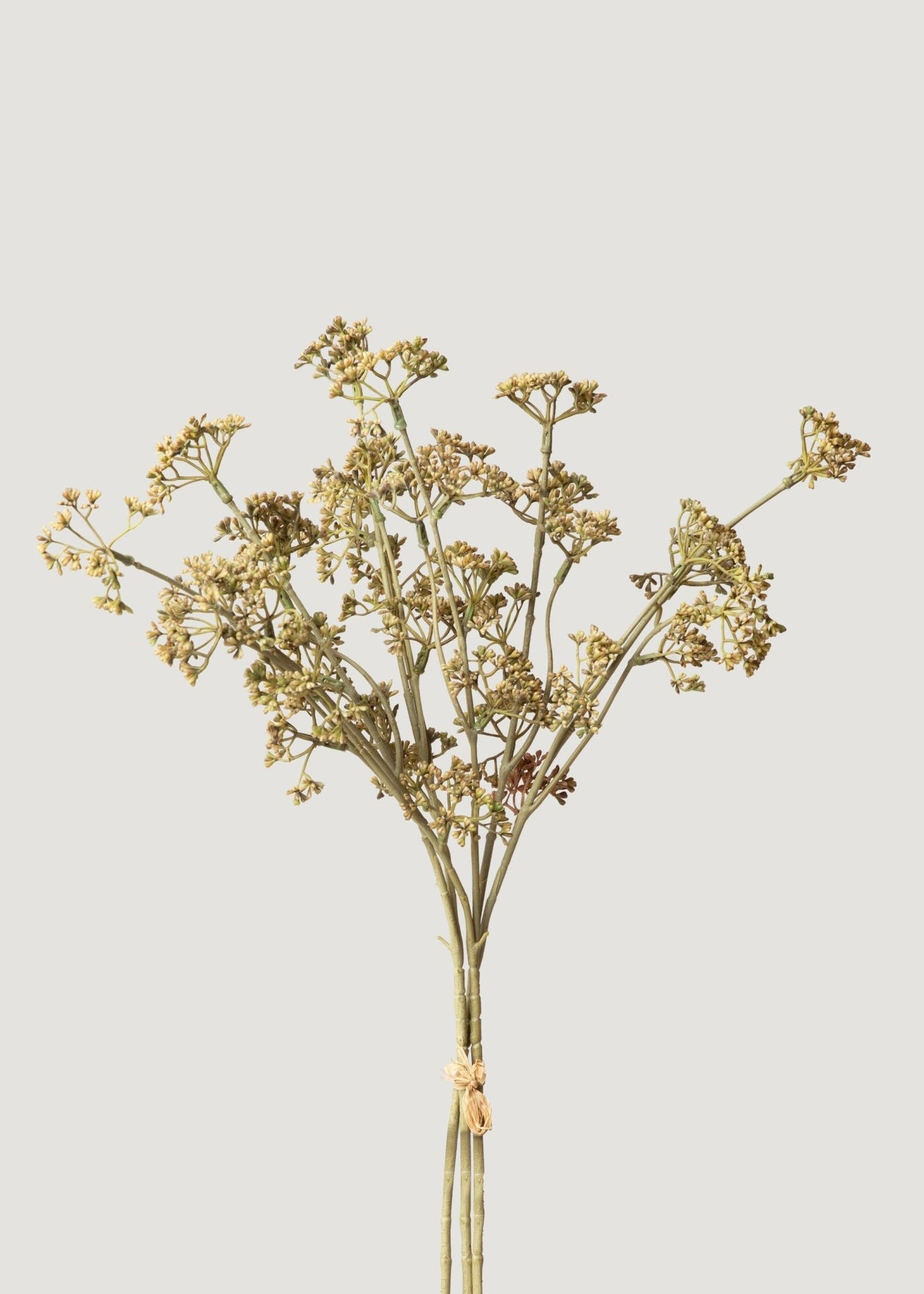 Artificial Meadow Sedge Wild Foliage Bundle - 21.5" - Sweet Water Decor - faux flower
