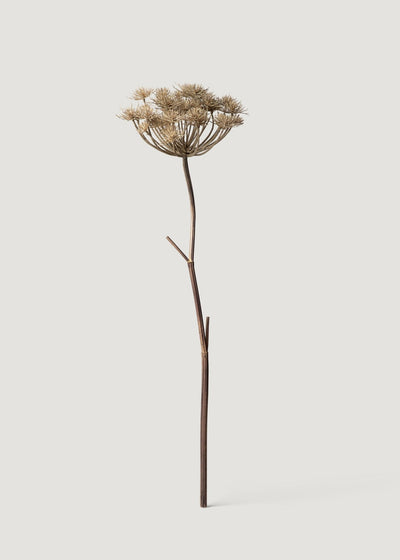 Natural Brown Artificial Wild Angelica Flower - 35.25" - Sweet Water Decor - faux flower