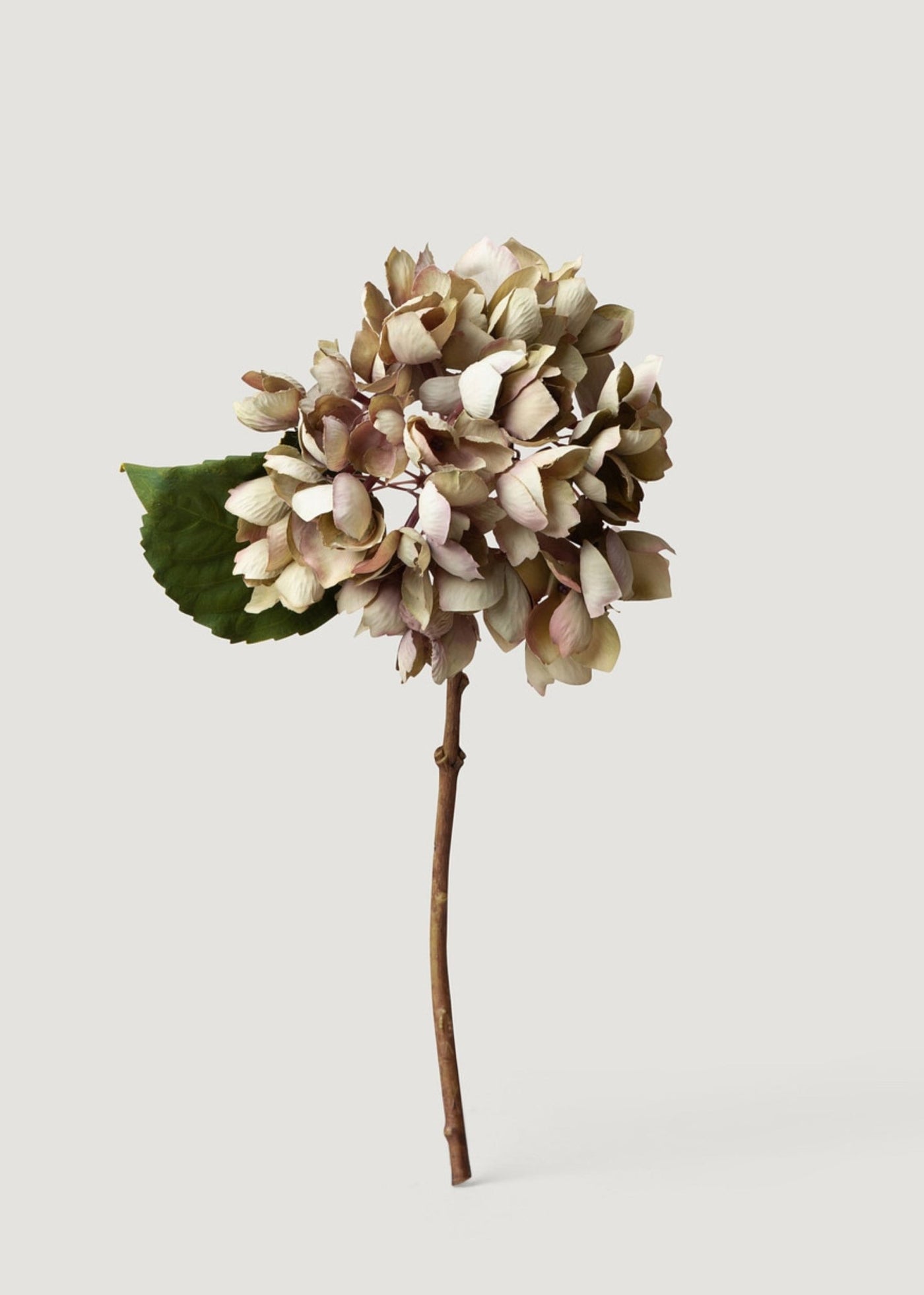 Dried Look Artificial Hydrangea in Vintage Taupe - 13.75" - Sweet Water Decor - faux flower