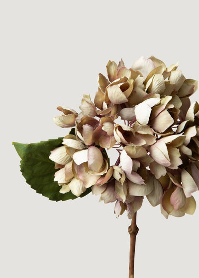 Dried Look Artificial Hydrangea in Vintage Taupe - 13.75" - Sweet Water Decor - faux flower