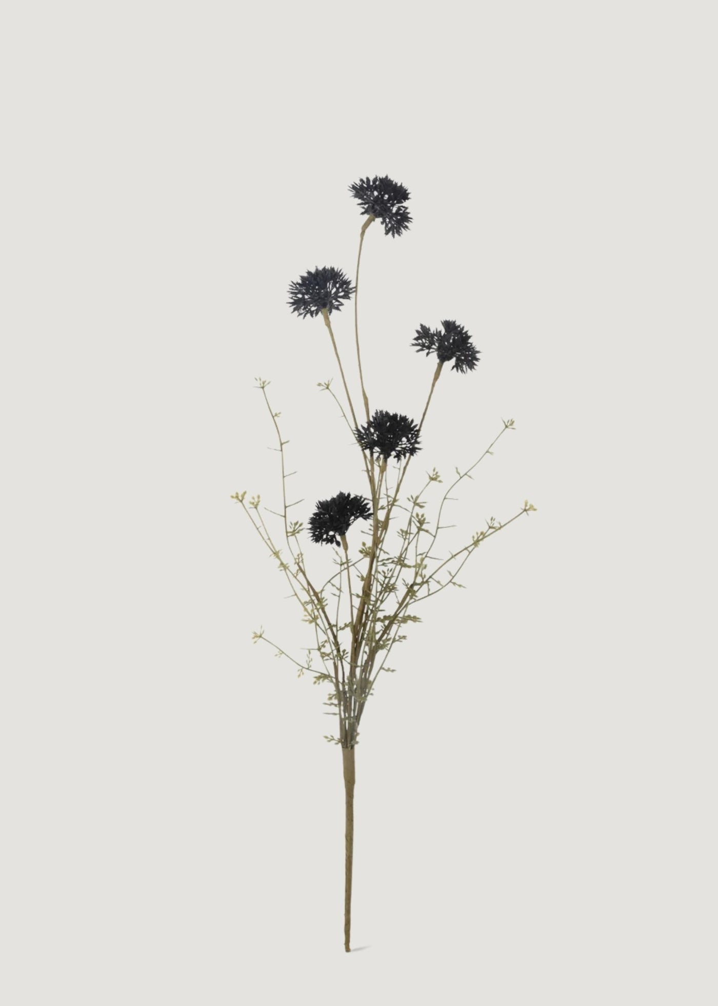 Artificial English Melaleuca Wildflower Branch in Black - 20.5" - Sweet Water Decor - faux flower