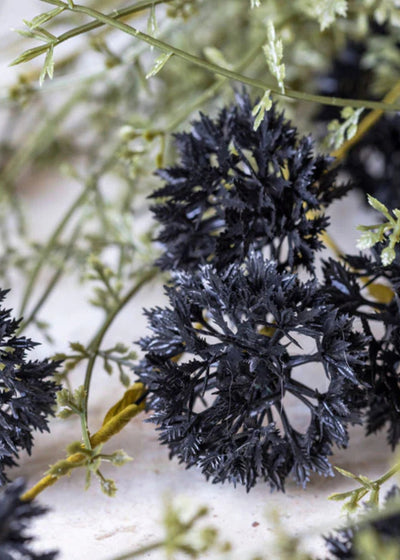 Artificial English Melaleuca Wildflower Branch in Black - 20.5" - Sweet Water Decor - faux flower