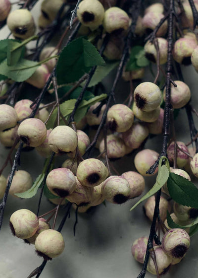 Abigail Ahern Artificial Hawthorn Berry Branch in Cream - 35.25" - Sweet Water Decor - Faux Plant